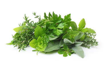 fresh spices and herbs isolated