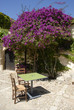 © Carmela - een tafel met 2 stoelen in de zon onder een bloeiende bougainvillea