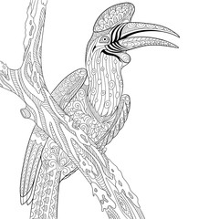 Wall Mural - zentangle stylized cartoon rhinoceros hornbill bird (buceros rhinoceros). hand drawn sketch for adul