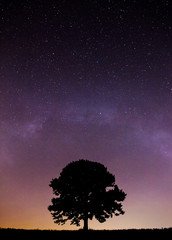 Wall Mural - night sky mountain tree landscape
