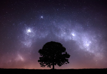 Wall Mural - night sky mountain tree landscape