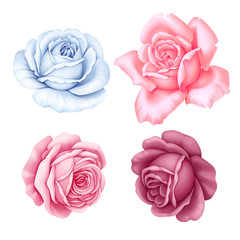 Floral set of pink, red, blue white vintage rose flowers  isolated on white background. Watercolor imitation illustration.