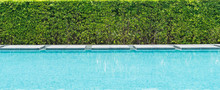 Beautiful Luxury Swimming Pool With Palm Tree