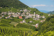 Valdobbiadene town and Prosecco vineyards in Veneto