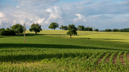 Wall Mural - Agrarlandschaft