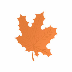 Wall Mural - maple leaf icon in cartoon style isolated on white background. tree symbol