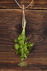 Wall Mural - Cilantro herb.