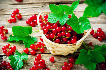 Sticker - red currant in a basket on a wooden table. style rustic. selective focus