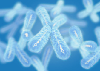 Wall Mural - Chromosome, X. 3d illustration.