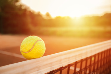 Poster - Tennis ball on the net
