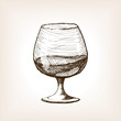 Cognac in glass sketch style vector