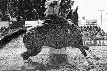 Rodeo Barrel Racer Turning The Barrel At Speed