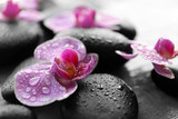 Fototapeta Desenie - Spa stones and orchids, closeup