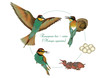 Life cycle of European bee-eater