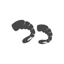 Shrimps Variations Vector Illustration