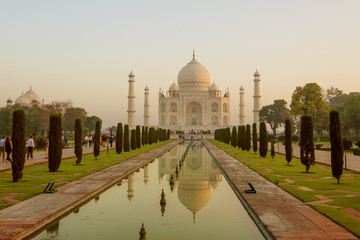 Wall Mural - Taj Mahal in sunrise light, Agra, India