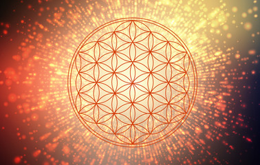 Wall Mural - flower of life - light explosion