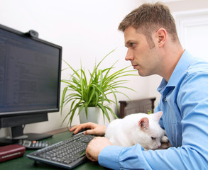 Male programmer working at pc computer with cat.