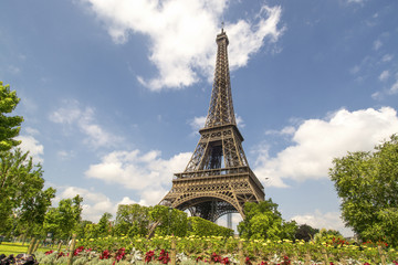 Wall Mural - The tower and the flowers.