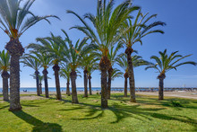 View Of The Beaches, Torremolinos, Costa Del Sol, Spain