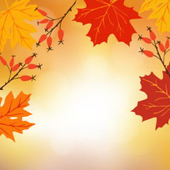Wall Mural - autumn, fall background. greeting card with hand drawn maple leaves and rose hips. modern blurred ve