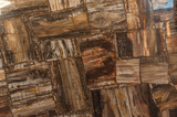 Fototapeta Desenie - Petrified Wood stone Texture