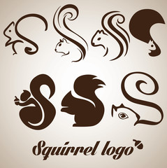 Wall Mural - squirrel logo