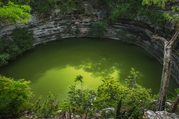 Wall Mural - Sagado Cenote