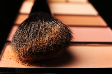 Wall Mural - Makeup brush with blusher closeup