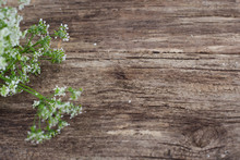Rustic Wooden Background With Tiny White Flowers, Copyspace For Text Or Advertisement