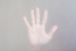 © SasinParaksa - Palm hand behind frosted glass