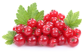Fototapete - Rote Johannisbeeren Johannisbeere Früchte Beeren Obst Freistell