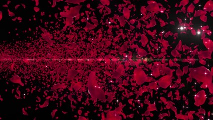 Wall Mural - Rose Flower Petals and Lens Flares.