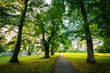 © jonbilous - Trees along a path at Suomenlinna, in Helsinki, Finland.