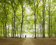 © FOLIO - Sweden, Skane, Malmo, Pildammsparken, Man running in park