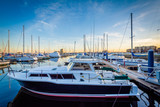 Fototapeta Pomosty - Boats docked in a marina in Canton, Baltimore, Maryland.