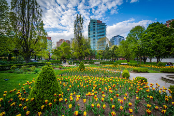 Canvas Print - Gardens at Saint James Park, in Toronto, Ontario.