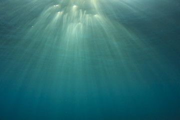 Poster - Underwater blue ocean background with sunlight in sea