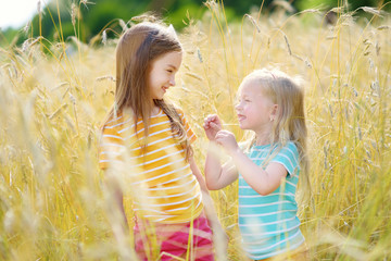 Wall Mural - Two adorable little sisters walking happily in wheat field