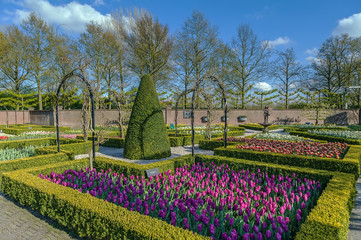 flowerbed in Keukenhof