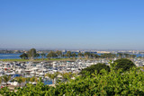 Fototapeta Miasto - San Diego, Cruiser Harbor