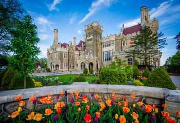 Wall Mural - Tulips and Casa Loma in Midtown Toronto, Ontario.