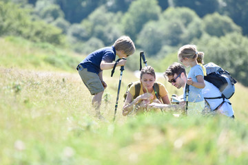 Family on a hiking day looking at vegetation