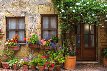 Wall Mural - Flower filled streets of the old Italian city in Tuscany.