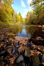 Fall Colors Along The Pine River