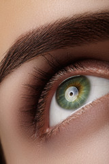 Wall Mural - Beautiful macro shot of green female eye with natural makeup. Perfect shape of eyebrows, brown eyeshadows and long eyelashes. Cosmetics and make-up. Closeup macro shot of fashion smoky eyes visage

