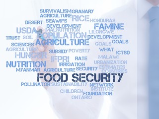 Wall Mural - Food security