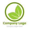 Green leaf plant circle icon logo