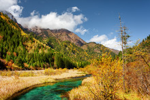 Beautiful Green River With Crystal Clear Water Among Fall Fields