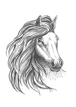Horse Head Sketch With Wavy Mane